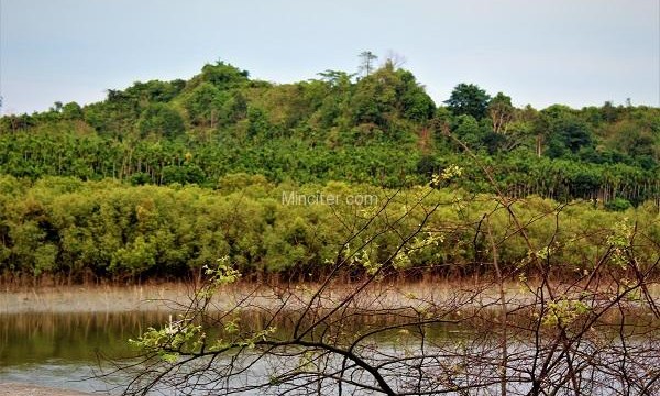The Jungle , Bangladesh